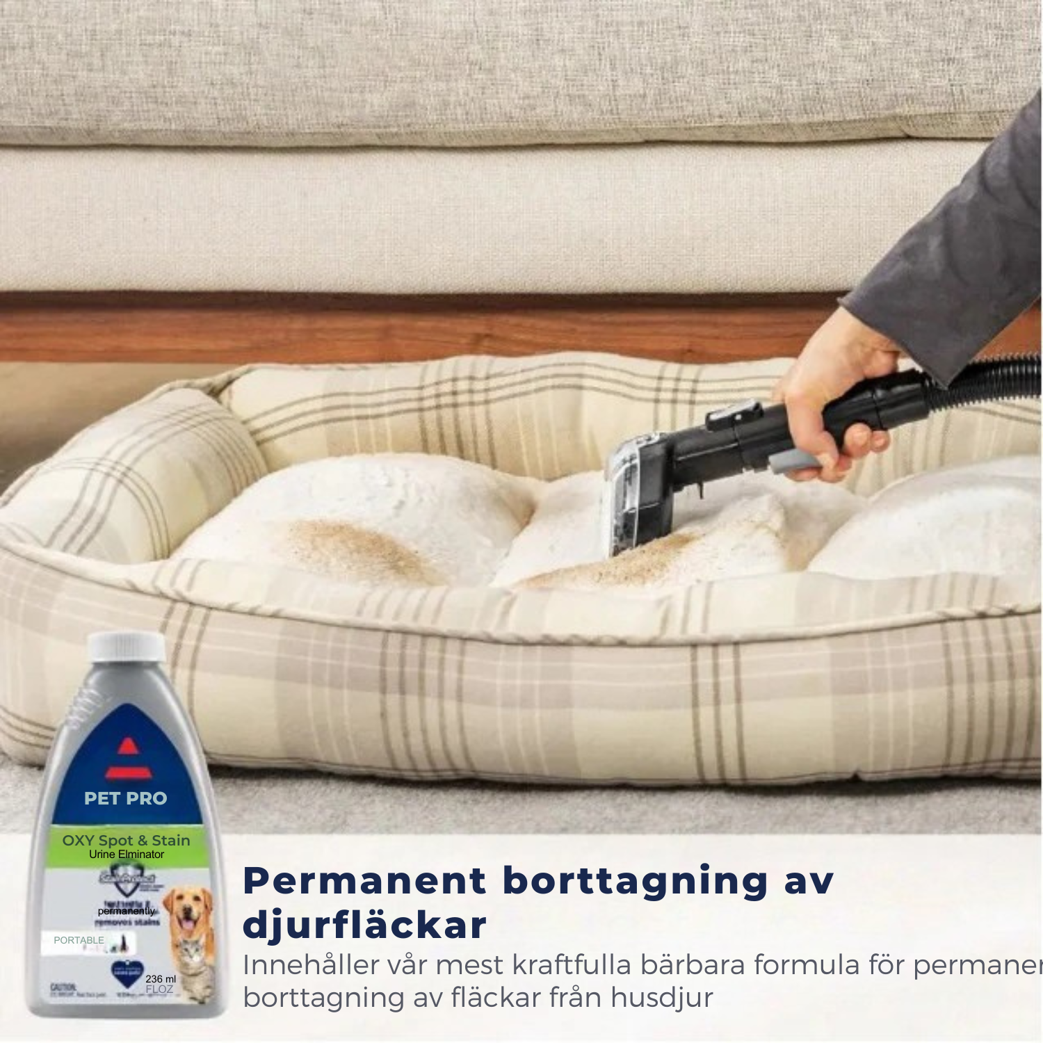 CleanGo™ Portabel matt- och klädselrengörare